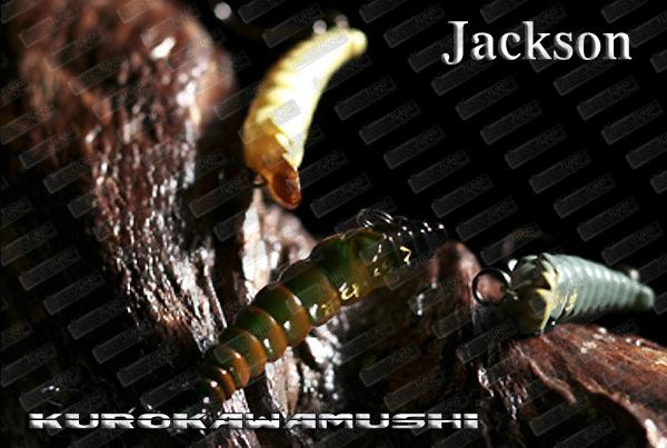 JACKSON Kurokawamushi