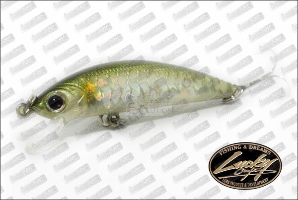 LUCKY CRAFT Humpback Minnow 50SP
