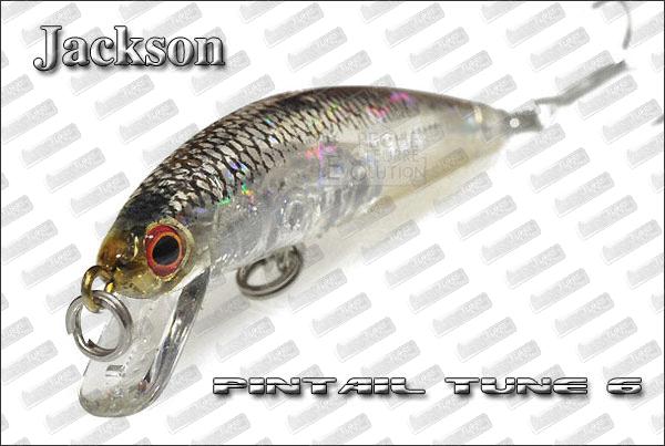 JACKSON PinTail Tune 6g