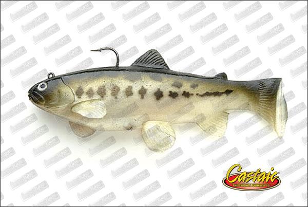 CASTAIC Boot Tail (SBT) 10''