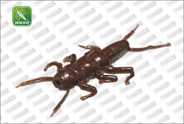 NIKKO Dappy Stonefly