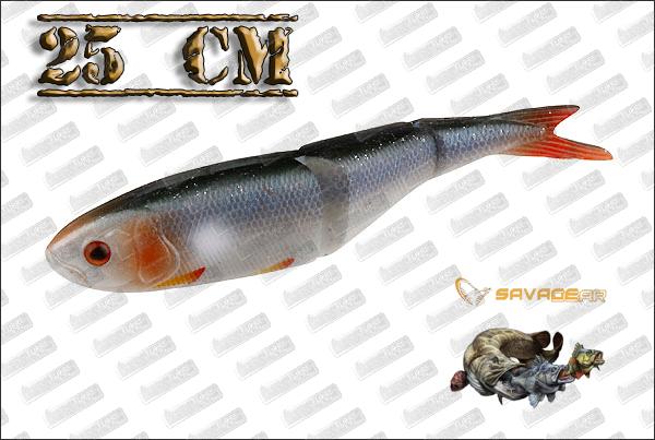 SAVAGE GEAR SG LB Soft 4Play 25cm