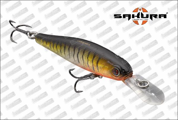 SAKURA Ciscus Minnow 65SP