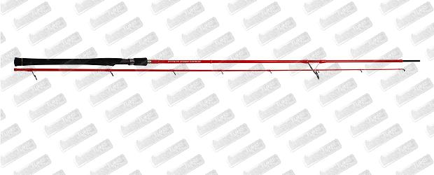 TENRYU Dragon Express