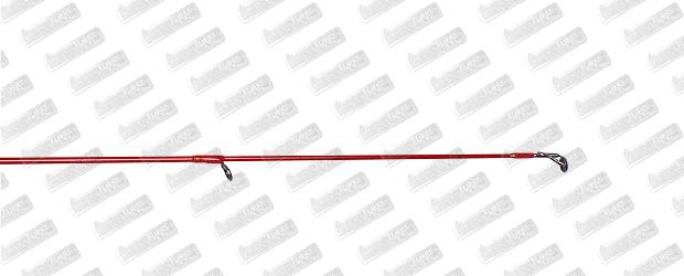 TENRYU Dragon Express