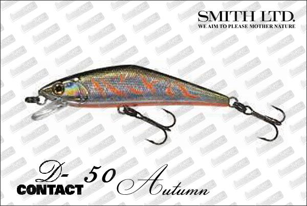 SMITH D-Contact 50 Autumn