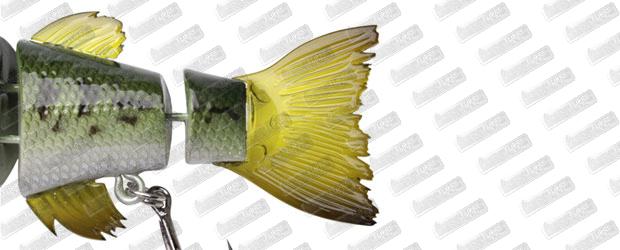 LITTLE JACK Ikaku Premium