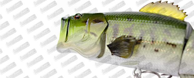 LITTLE JACK Ikaku Premium