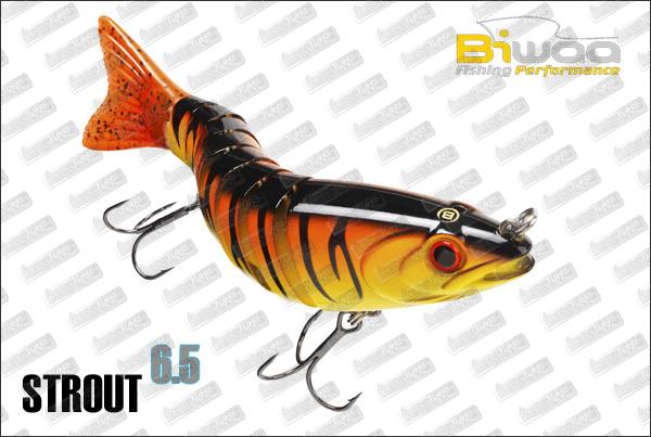 BIWAA S'tröut 6.5