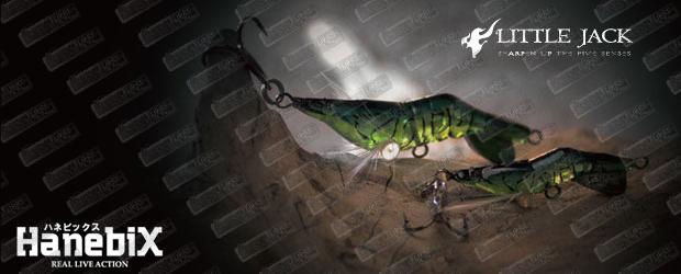 LITTLE JACK Hanebix 25