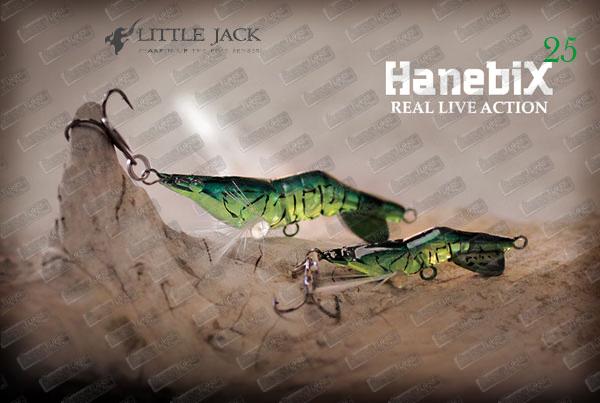 LITTLE JACK Hanebix 25