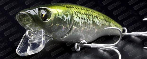 LITTLE JACK Borabress