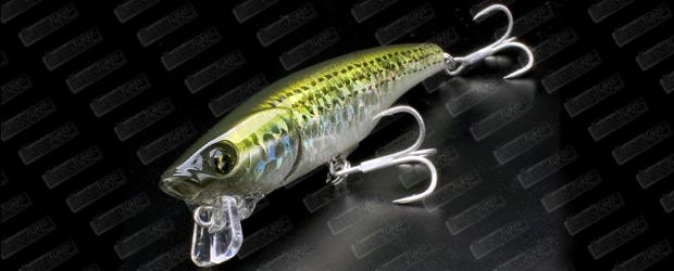 LITTLE JACK Borabress