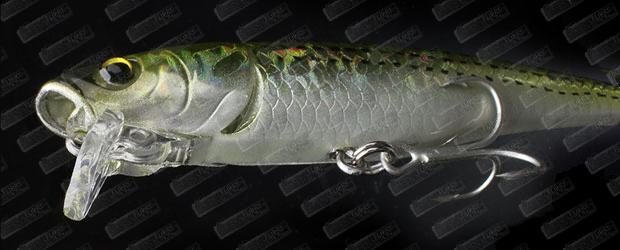 LITTLE JACK Borabress