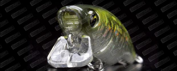 LITTLE JACK Borabress