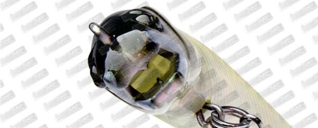 LITTLE JACK Ayukawa Koh