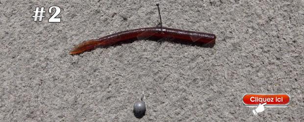 NORIES Latterie Natatail 3 1/2''