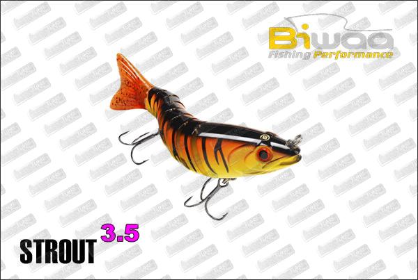 BIWAA S'tröut 3.5