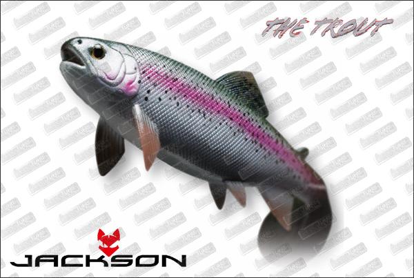 JACKSON CEBBRA The Trout