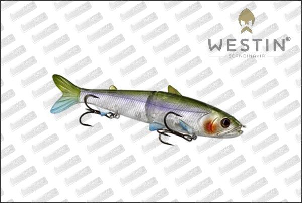 WESTIN Hypoteez HL/GB