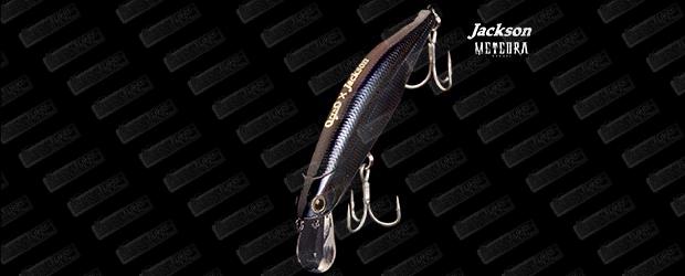 JACKSON Meteora Ryusei
