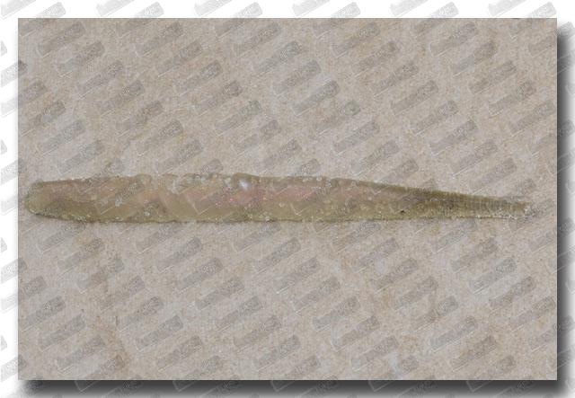 MEGABASS Tiny XLayer 59 Wakasagi