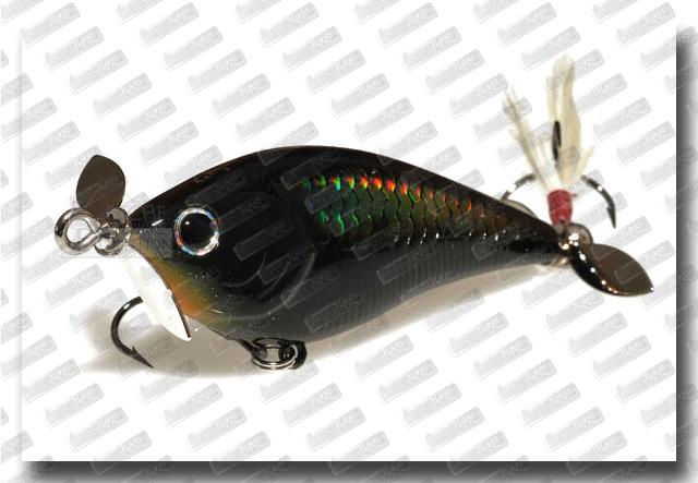 LUCKY CRAFT Kelly J #MS Black