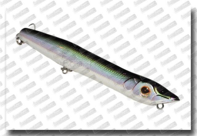 XORÜS Frosty II #Send Eeel