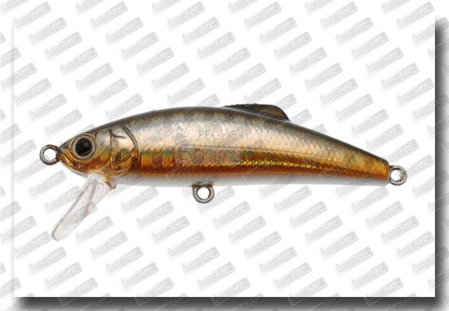 TACKLE HOUSE Buffet 50 Mute #1