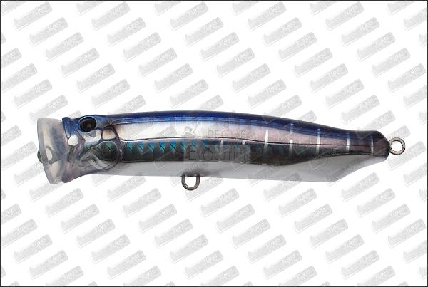 TACKLE HOUSE Feed Popper 100 #13