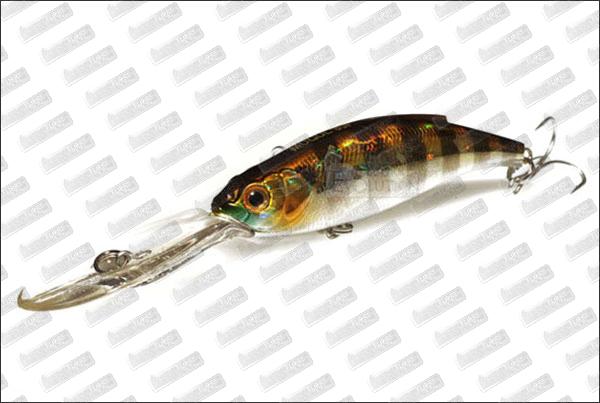 BASSDAY Mogul 85F (WOF) #007