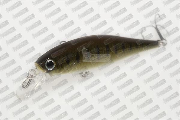 LUCKY CRAFT B'Freeze 65 SP #Pearl Goujon