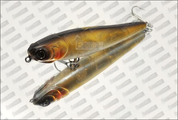 MEGABAIT Chihuahua 110 #662