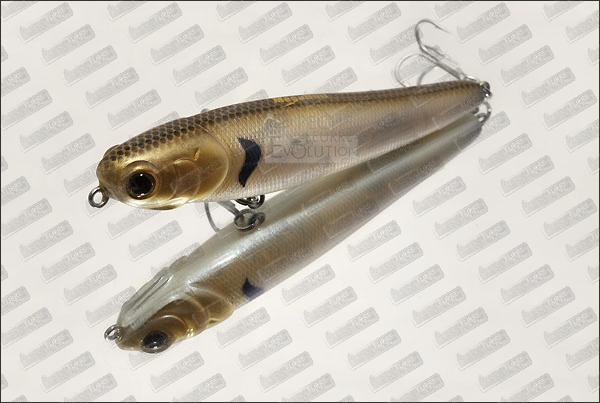 MEGABAIT Chihuahua 110 #624