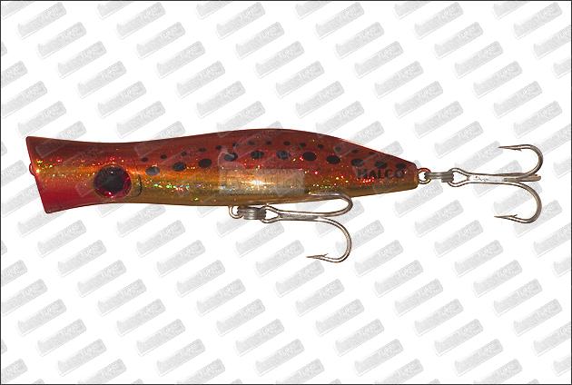 HALCO Rosta Popper 195 # H70 King Brown