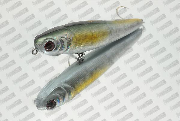 MEGABAIT Chihuahua 110 #675