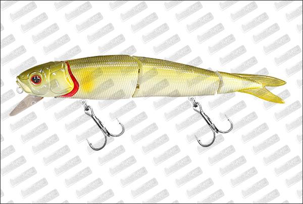 ADAM'S Accel Jerk Fyra #Ayu