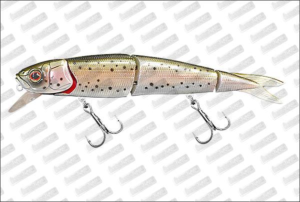 ADAM'S Accel Jerk Fyra #Rainbow Trout