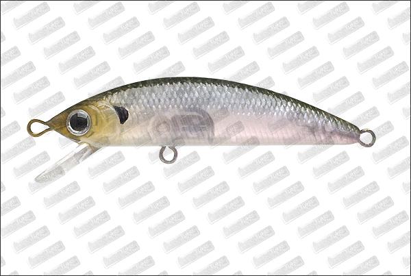 LUCKY CRAFT Humpback Minnow 50SP #Gohst Minnow