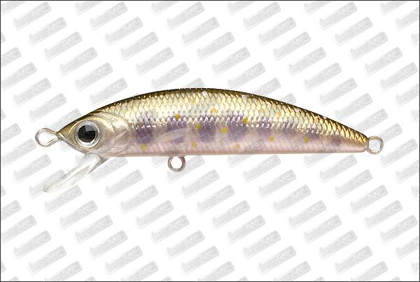 LUCKY CRAFT Humpback Minnow 50SP #Pearl Shar Shad