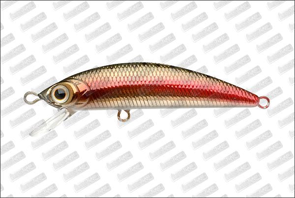 LUCKY CRAFT Humpback Minnow 50SP #Engaged Super Rainbow