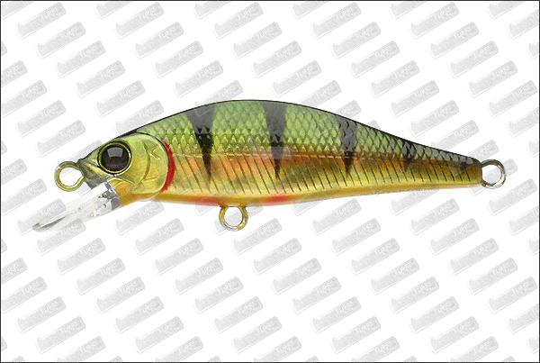 LUCKY CRAFT Humpback Pointer 50 Watch #AGO Northern Perch
