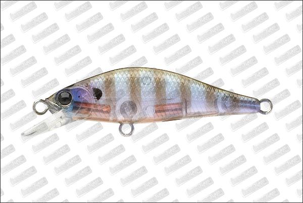 LUCKY CRAFT Humpback Pointer 50 Watch #Ghost Blue Gill
