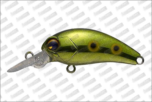 IMA Imatetra DI #006