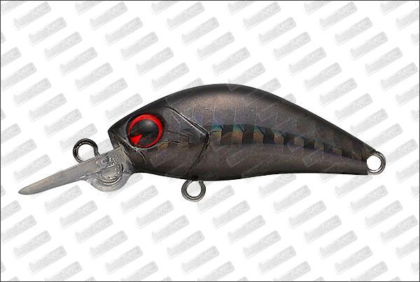 IMA Imatetra DI #013