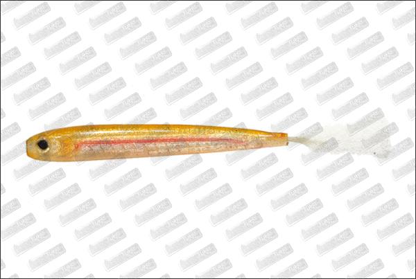 IMAKATSU Rainbow Shad 3'' #S-227