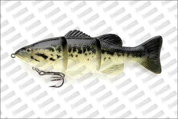 CASTAIC Platinum Naturals Series Swimbaits 6'' #Baby Bass