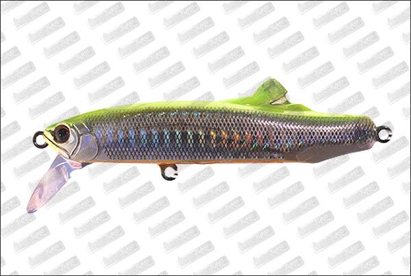 TACKLE HOUSE Flitz 75 #2