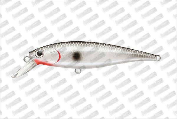LUCKY CRAFT B'Freeze 78 SP #Original Tennessee Shad