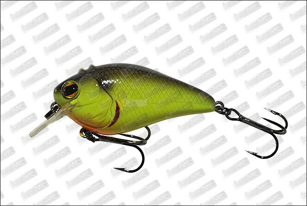 IMAKATSU Scare Brow 57 #81